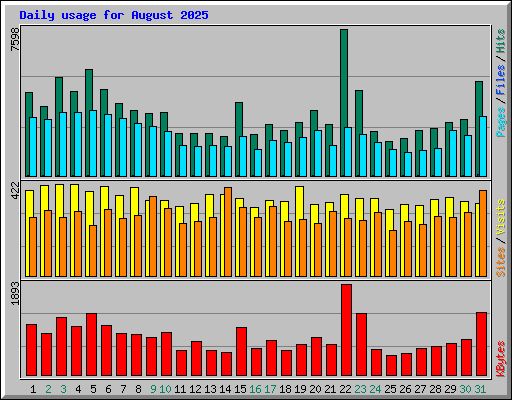Daily usage for August 2025