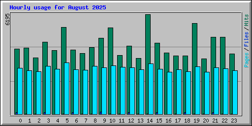 Hourly usage for August 2025