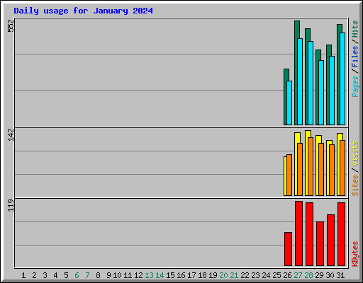 Daily usage for January 2024