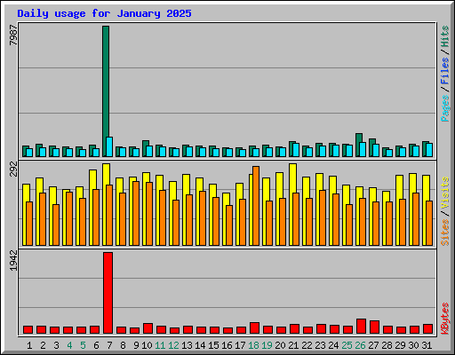 Daily usage for January 2025