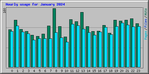 Hourly usage for January 2024