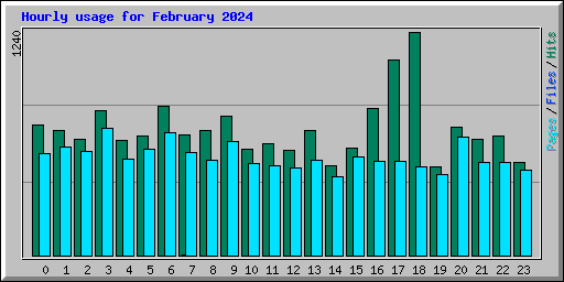 Hourly usage for February 2024