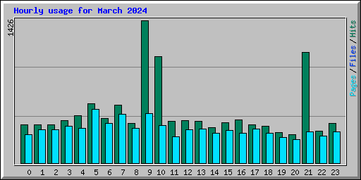 Hourly usage for March 2024