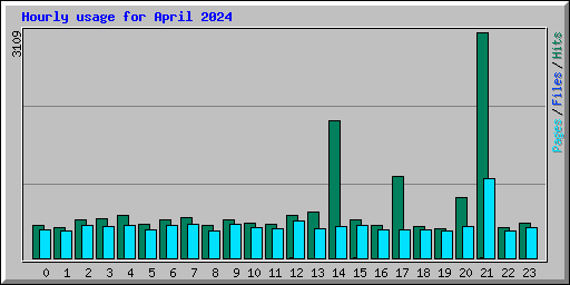 Hourly usage for April 2024