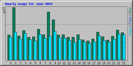 Hourly usage for June 2024