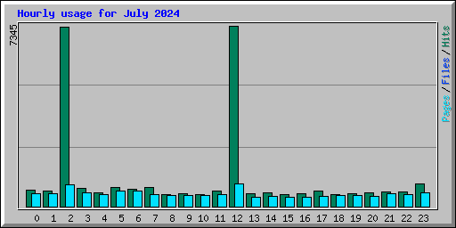 Hourly usage for July 2024