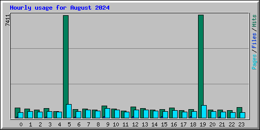 Hourly usage for August 2024