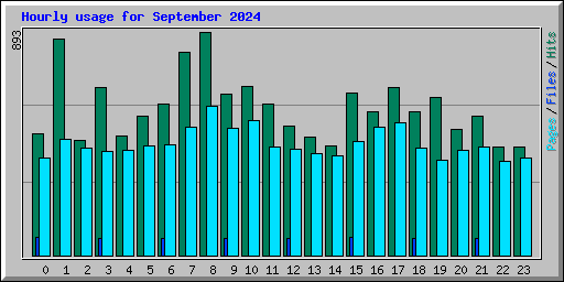 Hourly usage for September 2024