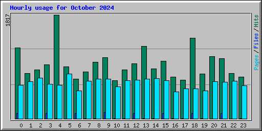 Hourly usage for October 2024