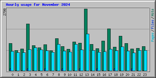 Hourly usage for November 2024