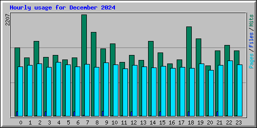 Hourly usage for December 2024