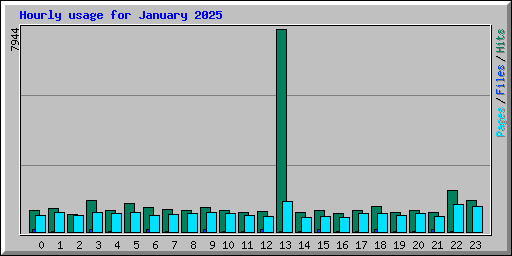 Hourly usage for January 2025