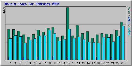 Hourly usage for February 2025