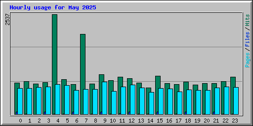 Hourly usage for May 2025