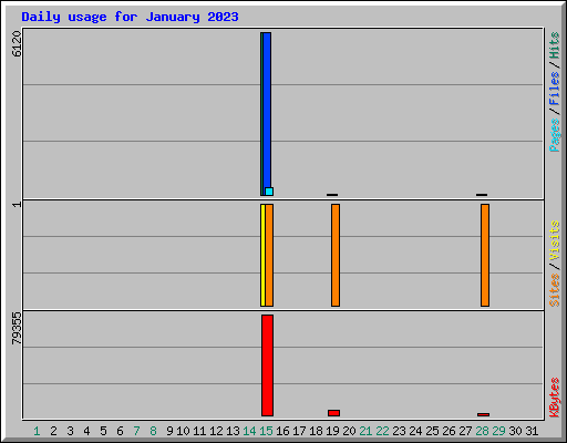 Daily usage for January 2023